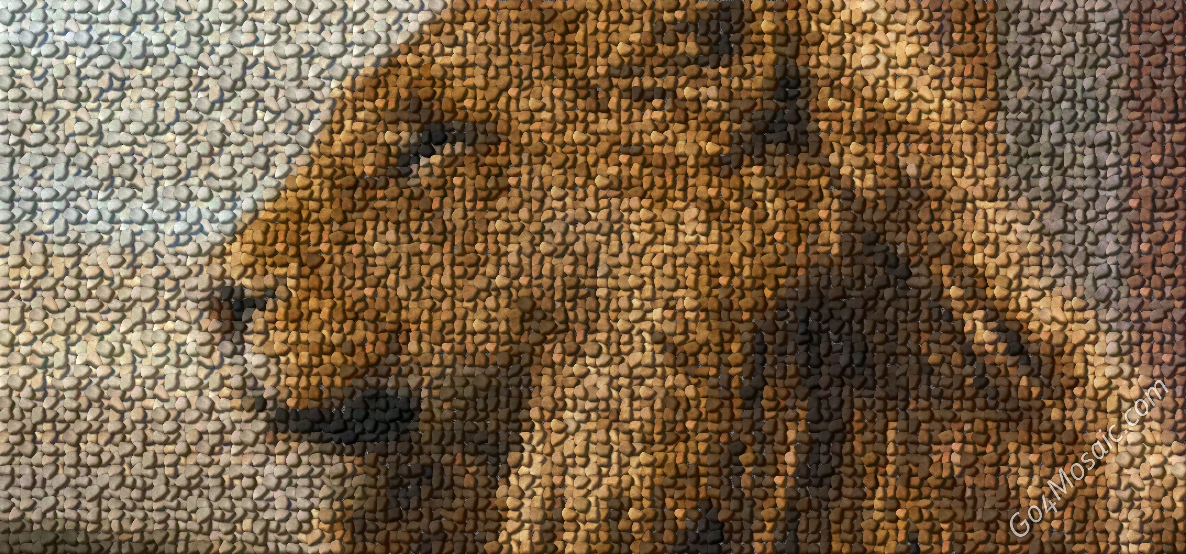 Aslan /The Chronicles of Narnia/ mosaic from Pebbles