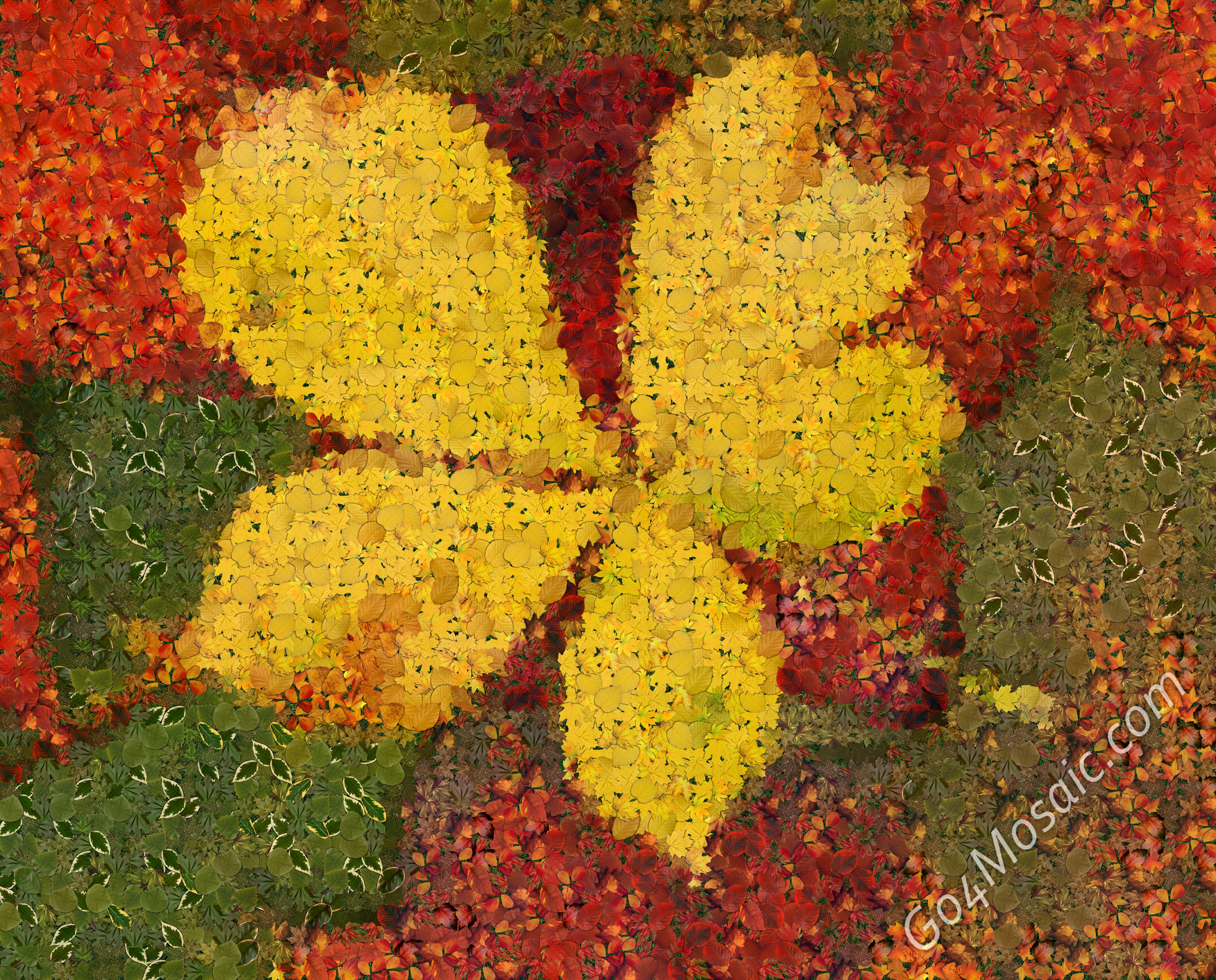 Autumn leaves mosaic from 3618 leaves