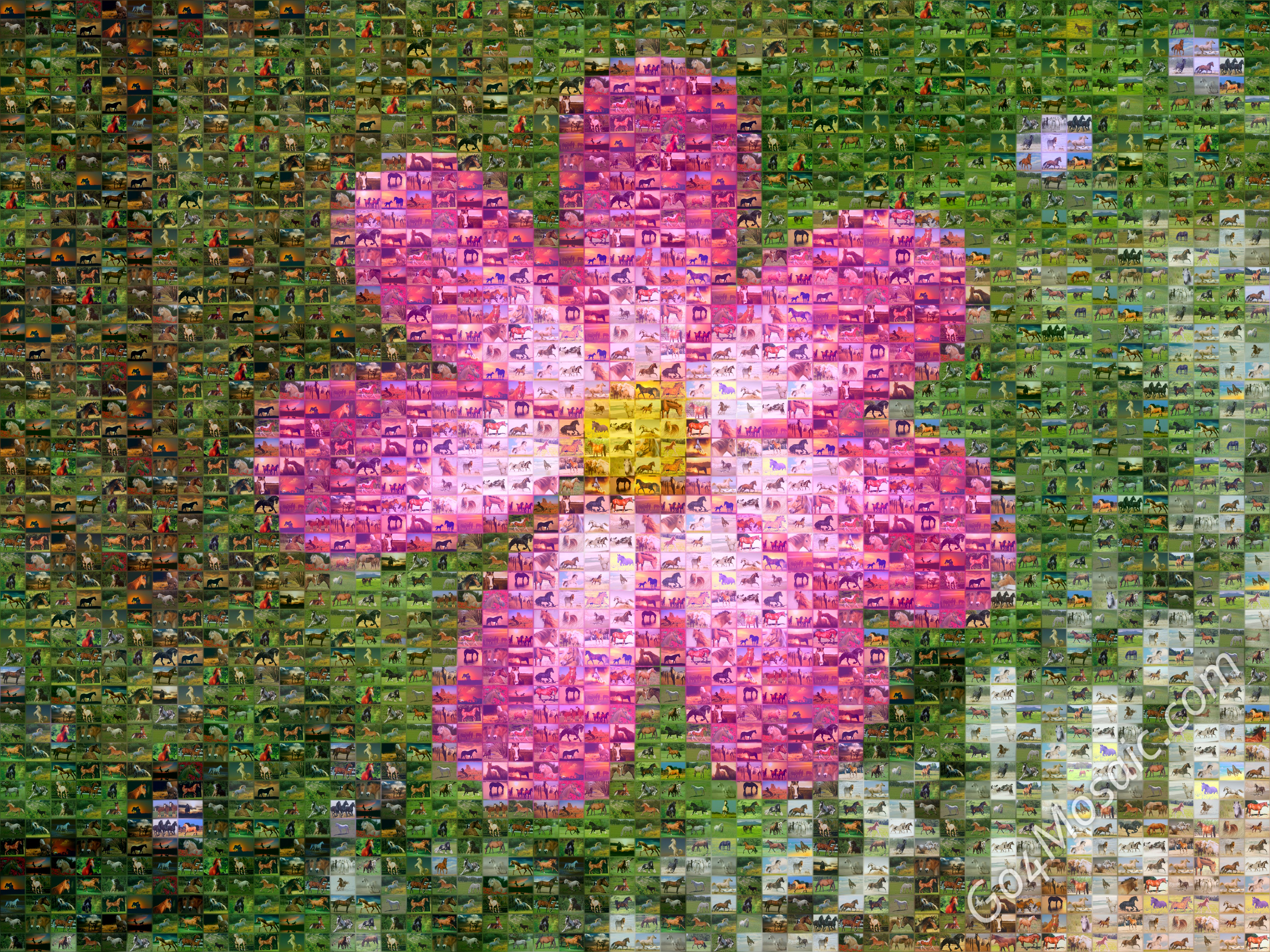 Pink Flower mosaic from Horses