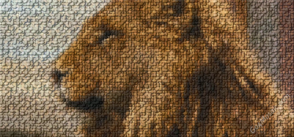 Aslan /The Chronicles of Narnia/ mosaic from Pebbles