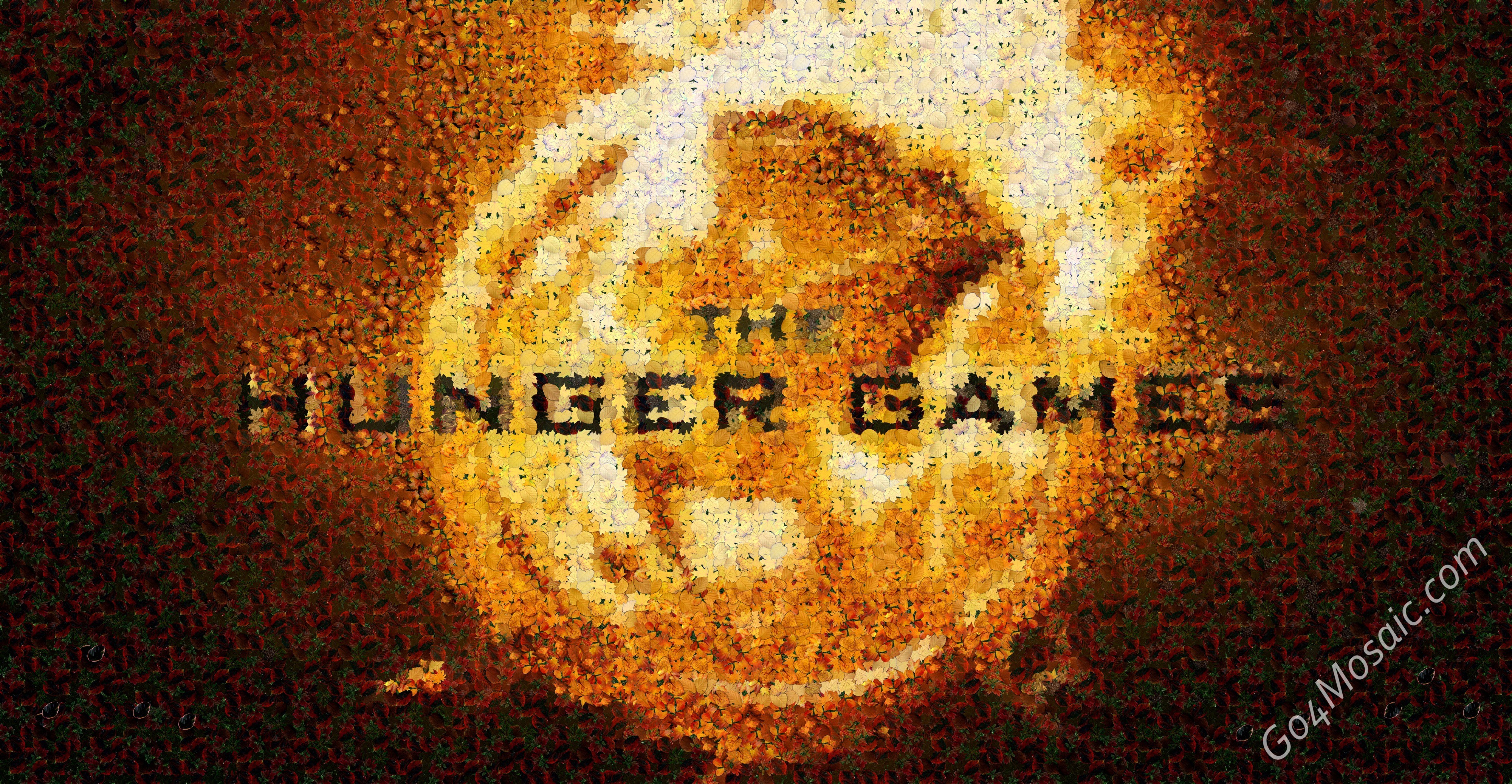 The Hunger Games Logo mosaic from Leaves
