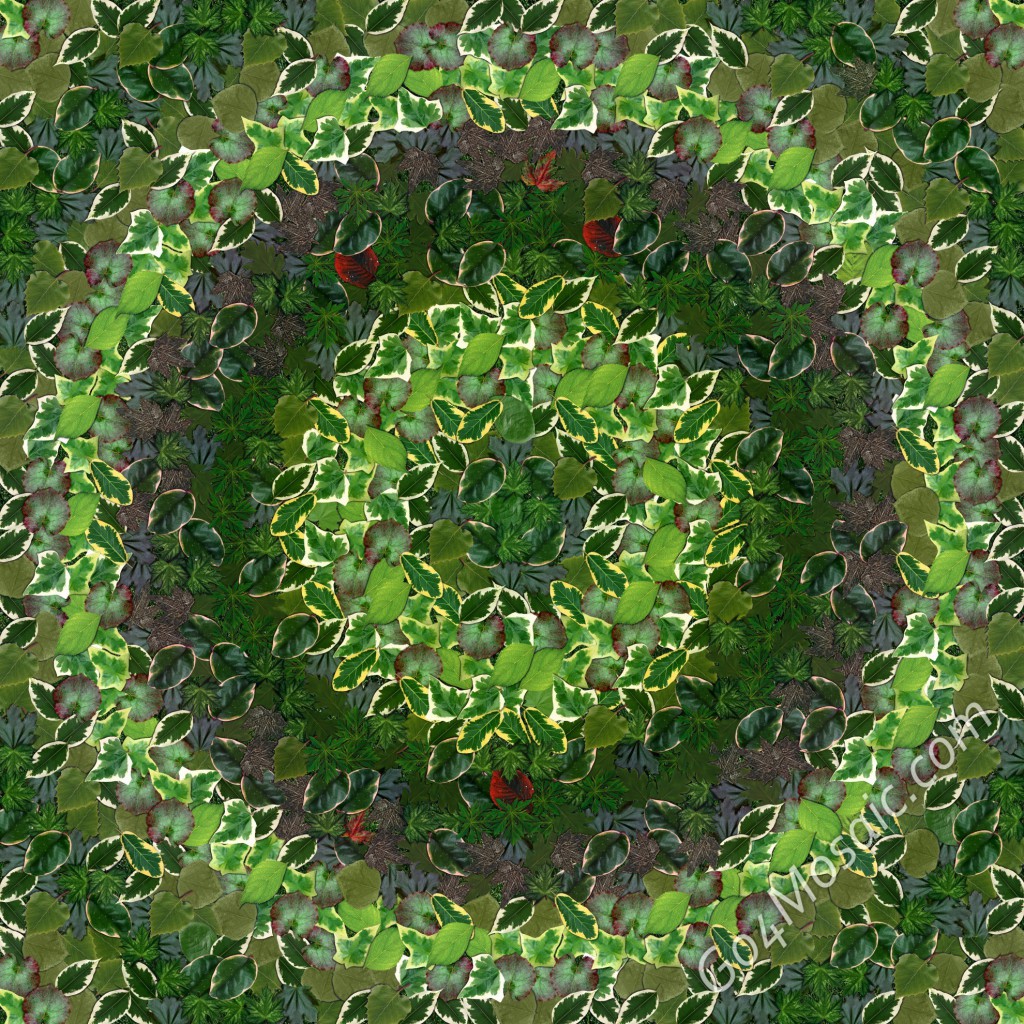 Circle mosaic from Leaves