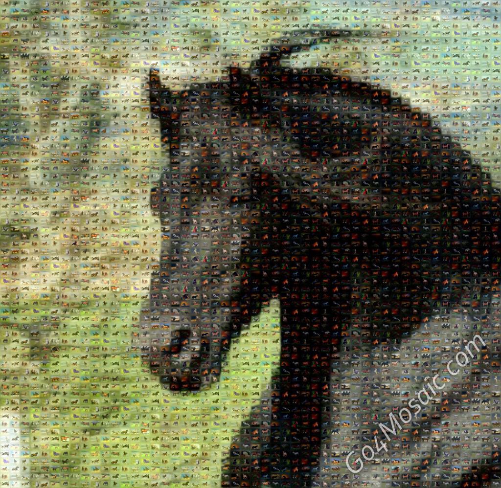 Horse mosaic from horses