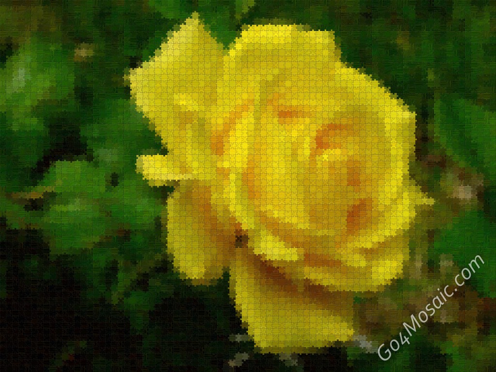 Yellow rose mosaic from jigsaw