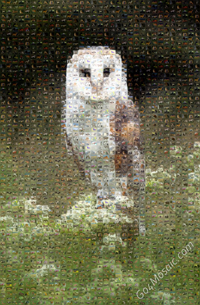 Barn Owl mosaic from Animals