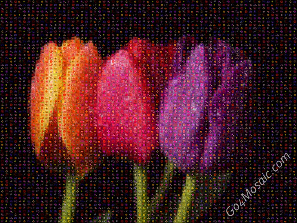Tulips mosaic from Flowers